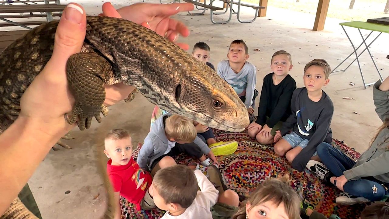 Scales and Tails encourages people to hold creepy creatures